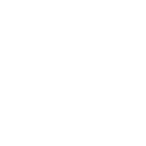 100% Icon@2x